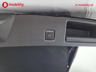 Ford Kuga – thumbnail 19