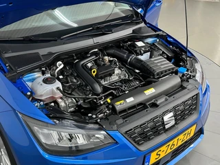 SEAT Ibiza – thumbnail 19