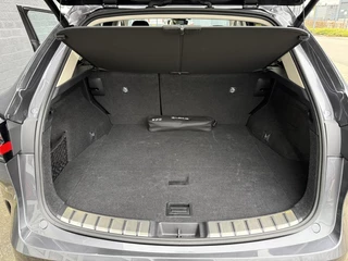 Lexus NX – thumbnail 23