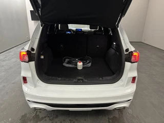 Ford Kuga – thumbnail 9