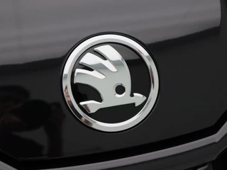 Škoda Kodiaq – thumbnail 15