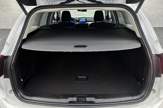 Ford Focus – thumbnail 19