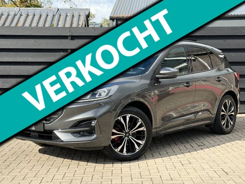 Ford Kuga 2.5 PHEV ST-Line X Pano I 360° I Trekhaak