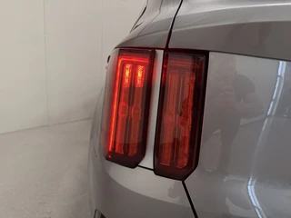 Kia Sorento – thumbnail 64