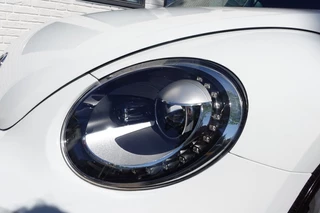 Volkswagen Beetle – thumbnail 26