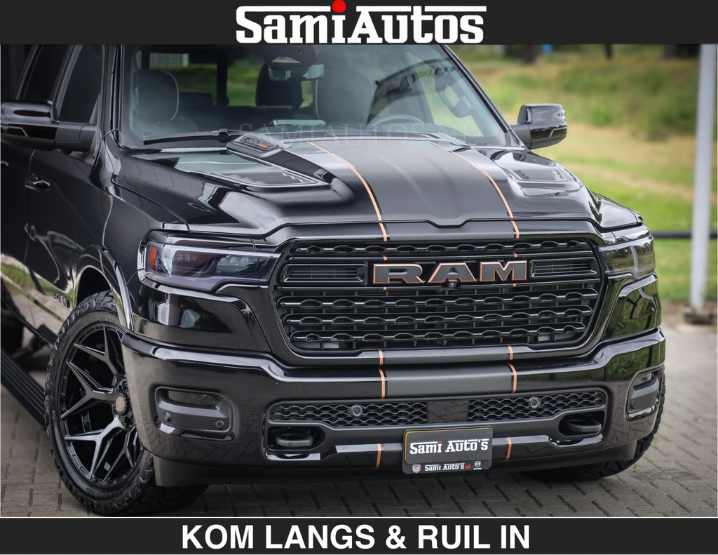 Dodge Ram Pick-Up – foto 13