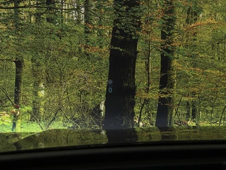 Volkswagen Tiguan – thumbnail 15