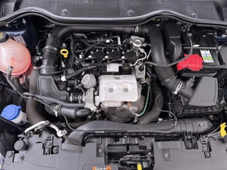 Ford Fiesta – thumbnail 37