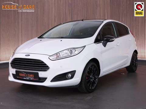 Ford Fiesta 1.0 100pk Titanium |black pack|bluetooth|navigatie|parkeercamera|stoelverwarming|17" lichtmetalen velgen|voor & achterruit verwarming|