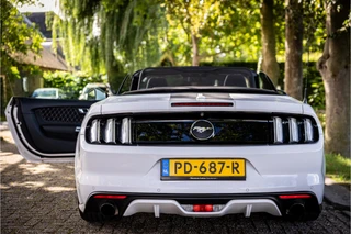 Ford Mustang – thumbnail 7
