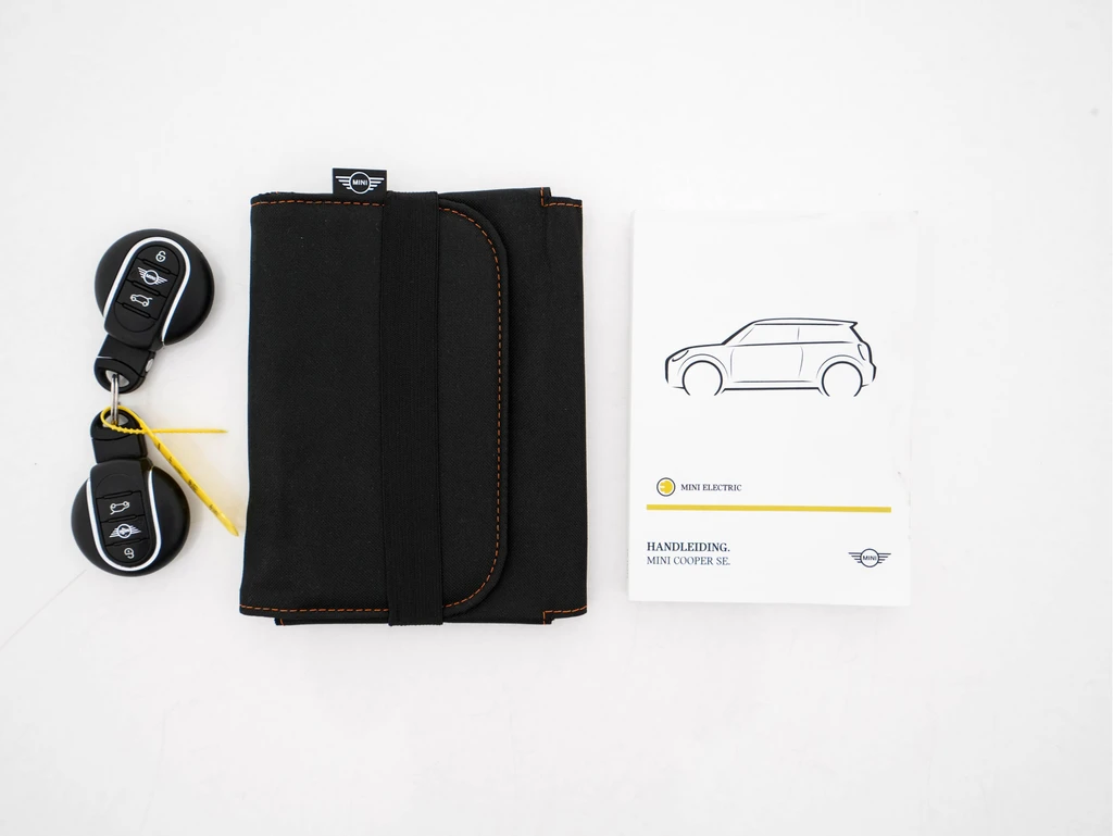 MINI Electric – foto 31