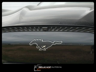 Ford Mustang Mach-E – thumbnail 28