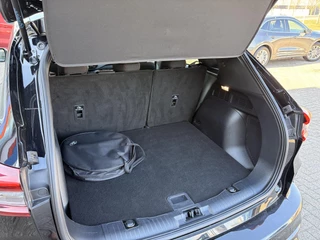 Ford Kuga – thumbnail 11