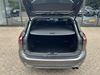 Ford Focus – thumbnail 14