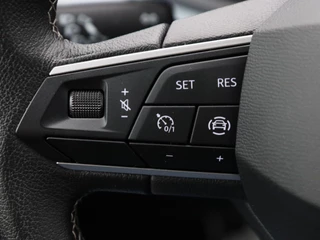 SEAT Ibiza – thumbnail 19