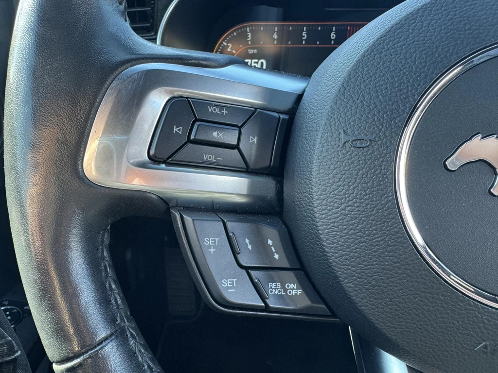 Ford Mustang – foto 16