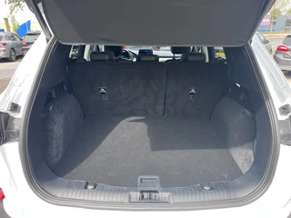 Ford Kuga – thumbnail 21