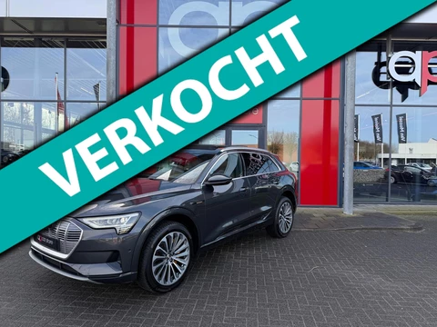 Audi E-tron E-tron 55 quattro advanced 95 kWh