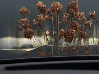 BMW X5 – thumbnail 25