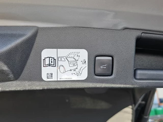 Ford Kuga – thumbnail 13