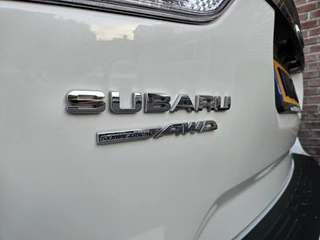 Subaru Forester – thumbnail 18