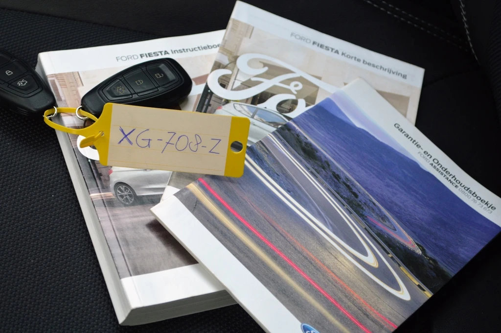 Ford Fiesta – foto 31