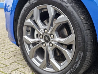Ford Focus – thumbnail 31