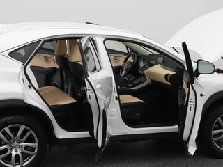 Lexus NX – thumbnail 36