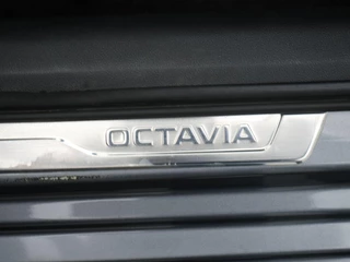 Škoda Octavia – thumbnail 49