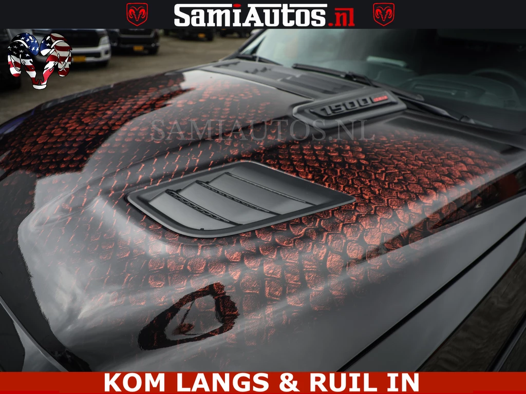 Dodge Ram Pick-Up – foto 42