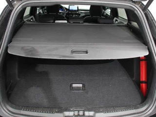 Ford Focus – thumbnail 25