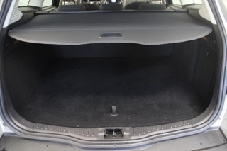 Ford Focus – thumbnail 19